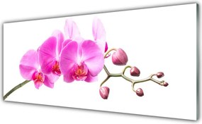 Szkło do Kuchni na Ścianę Harmonijny Bukiet Ścienny