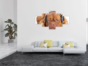 Obraz psa ze słuchawkami (125x70 cm)