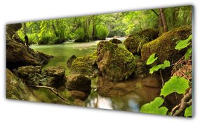 Obraz na Szkle Skała Jezioro Natura