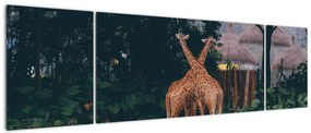 Obraz dwóch żyraf (170x50 cm)