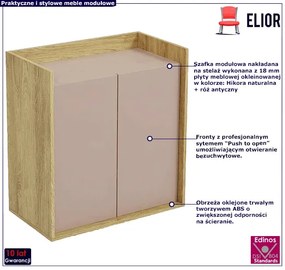 Szafka modułowa dwudrzwiowa hikora + róż antyczny - Afilia 10X