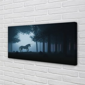 Zdjęcie na płótnie Nocny Las i Jednorożec