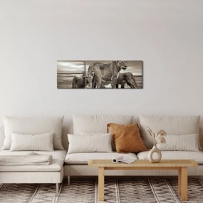 Obraz czarno - białych lwów (z zegarem) (90x30 cm)