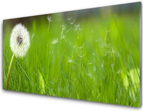 Szkło do Kuchni na Ścianę Lekkość Lata: Dmuchawiec