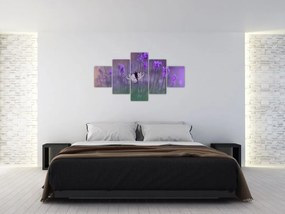 Obraz - Motyl w lawendach (125x70 cm)