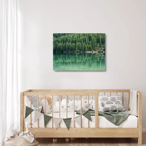 Obraz na szkle - drzewa iglaste nad jeziorem (70x50 cm)