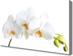 Duży obraz na płótnie Pastelowy Bukiet Botaniczny