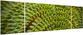 Obraz - Paproć (170x50 cm)