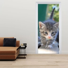 Fototapeta na drzwi - Kotek (95x205cm)