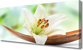 Obraz canvas Subtelny Pąk Kwiatowy