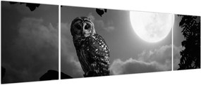 Obraz - Nocna sowa, czarno-biały (170x50 cm)