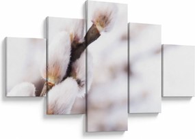 Obraz - Gałąź wierzby płaczącej (125x70 cm)