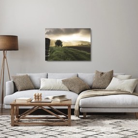 Obraz na szkle - łąka (70x50 cm)