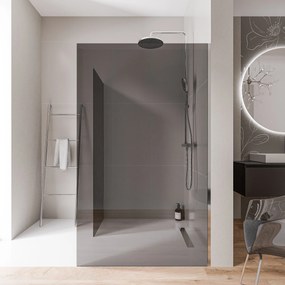 Ścianka prysznicowa Walk-In EX102