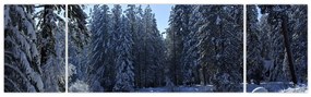 Obraz śnieżnego lasu (170x50 cm)