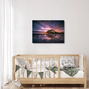Obraz na szkle - drzewo na plaży (70x50 cm)