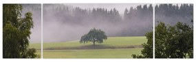 Obraz łąki z drzewem (170x50 cm)