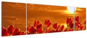 Obraz kwitnącego pola z tulipanami (170x50 cm)
