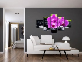 Obraz - Storczyki (125x70 cm)