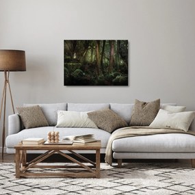 Obraz na szkle - Tajemniczy las (70x50 cm)