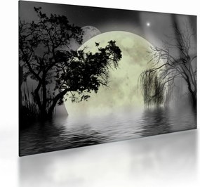 Obraz na szkle - Księżyc w pełni nad powierzchnią, wersja czarno - biała (70x50 cm)