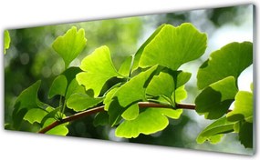 Panel Szklany Zielone Liście na Gałęzi