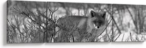 Obraz - Lis w zimie (170x50 cm)