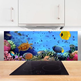 Panel nad blat kuchenny Podwodny Świat Rafy Koralowej