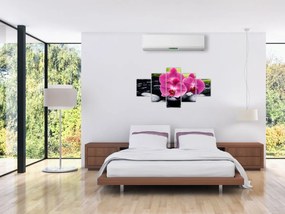 Obraz - Różowe orchidee z liściem palmy (125x70 cm)
