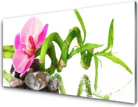 Szkło do Kuchni na Ścianę Subtelny Rozkwit Natury