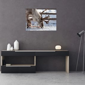 Obraz na szkle - Sat (70x50 cm)
