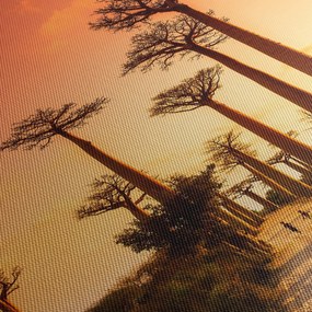 Obraz - Zachód słońca w Baobab Alley (z zegarem) (90x30 cm)