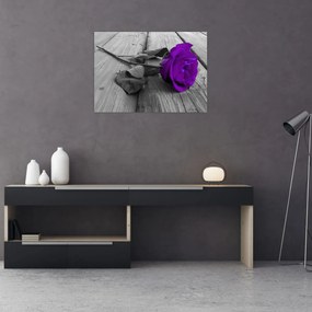 Obraz na szkle - Fioletowa róża z zieloną łodygą (70x50 cm)