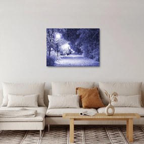 Obraz - Magiczna zimowa noc (70x50 cm)