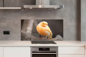 Panel szklany do Kuchni Papuga na Suchej Gałęzi