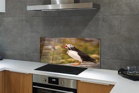 Panel Kuchenny Szklany Portret Barwnej Papugi