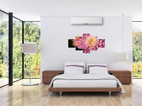 Szczegółowy obraz kwiatu (125x70 cm)