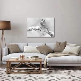 Obraz - Ptak na gałęzi (70x50 cm)