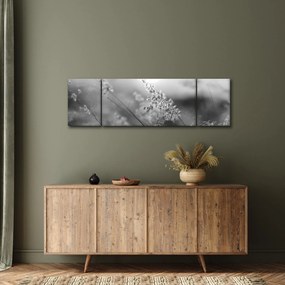 Obraz - Jesienna łąka (170x50 cm)