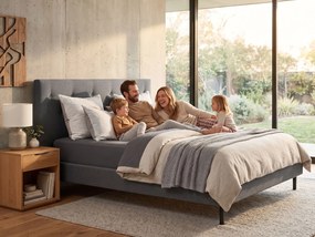 DORMEO DOLCE PRO BED FRAME CLASSIC HS1