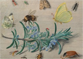 Obraz na szkle - Jan van Kessel the Elder, Insects and a Sprig of Rosemary, reprodukcje (70x50 cm)