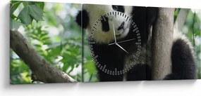 Obraz - Panda na drzewie (z zegarem) (90x30 cm)