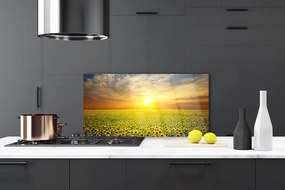 Panel Szklany Słoneczniki Na Słonecznej Polanie