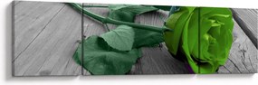 Obraz - Zielona róża (170x50 cm)