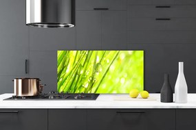 Panel Szklany Natura Krople Trawa