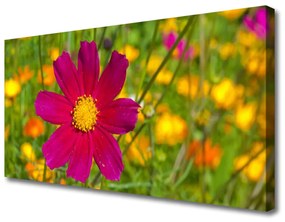 Obraz Canvas Kwiat Roślina Natura