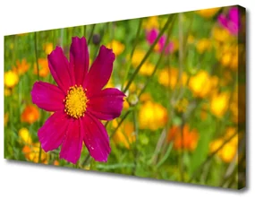 Obraz Canvas Kwiat Roślina Natura