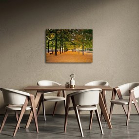 Obraz alei jesiennych drzew (70x50 cm)