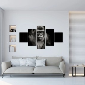 Obraz - Goryl (125x70 cm)