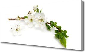 Obraz na płótnie Kwitnąca Gałązka Natury